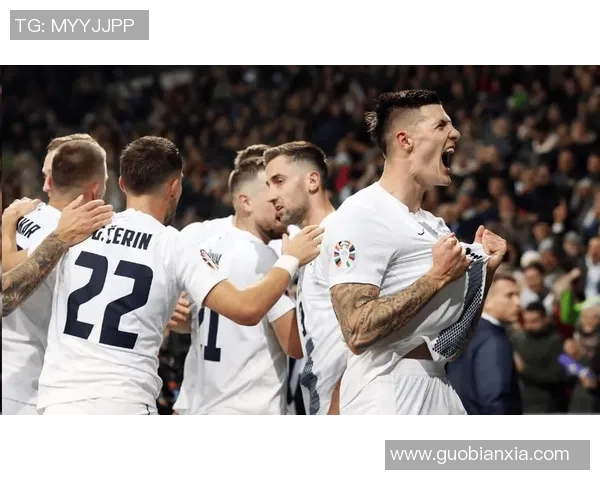 斯洛文尼亚足球明星盘点及其在国际赛场上的表现分析 斯洛文尼亚足球明星盘点及其在国际赛场上的表现分析