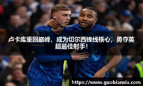 乐盈VI