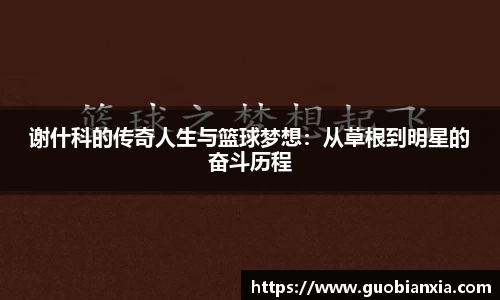 谢什科的传奇人生与篮球梦想：从草根到明星的奋斗历程