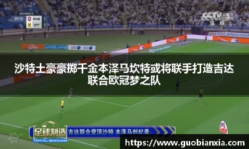 乐盈VI
