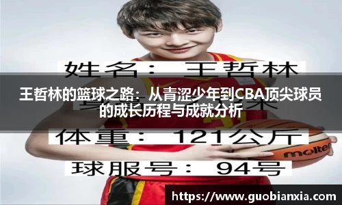 乐盈VI