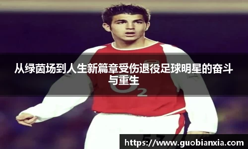 从绿茵场到人生新篇章受伤退役足球明星的奋斗与重生