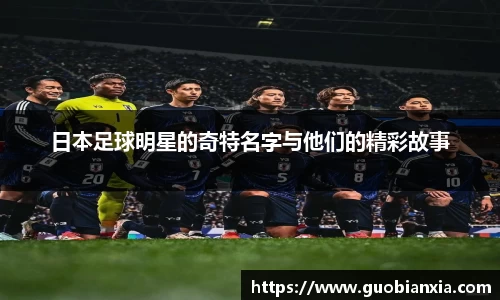 乐盈VI