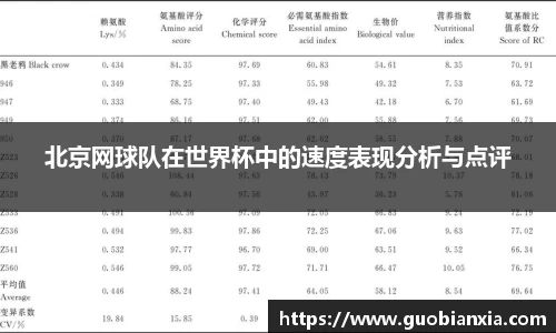 北京网球队在世界杯中的速度表现分析与点评